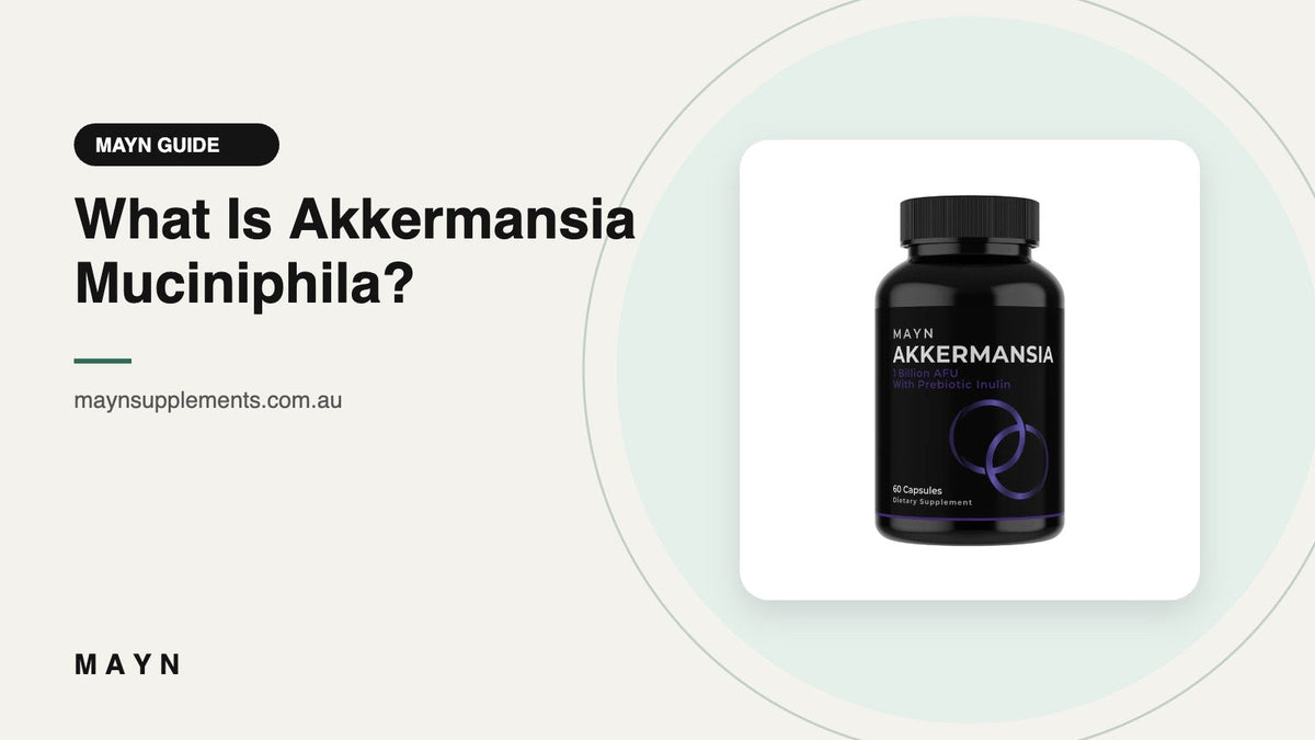 What Is Akkermansia Muciniphila?