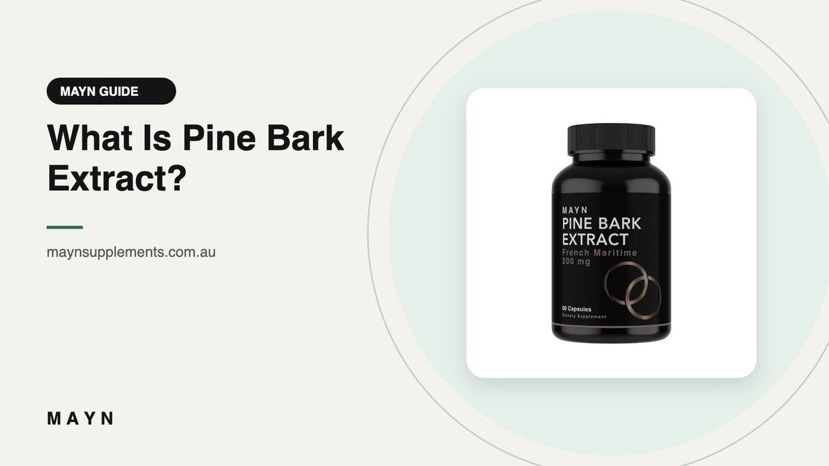 What Is Pine Bark Extract?
