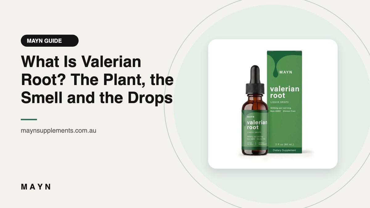 What Is Valerian Root? The Plant, the Smell and the Drops