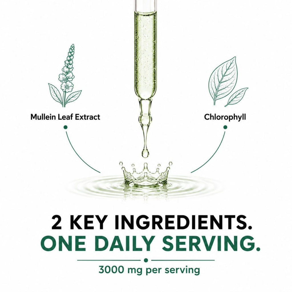 MAYN Mullein Leaf Extract Liquid Drops – 60mL – image 4