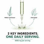 MAYN Mullein Leaf Extract Liquid Drops – 60mL – image 4