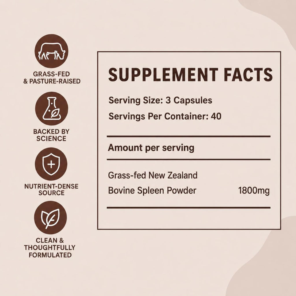 MAYN Grass-Fed Beef Spleen – 120 Capsules – image 5