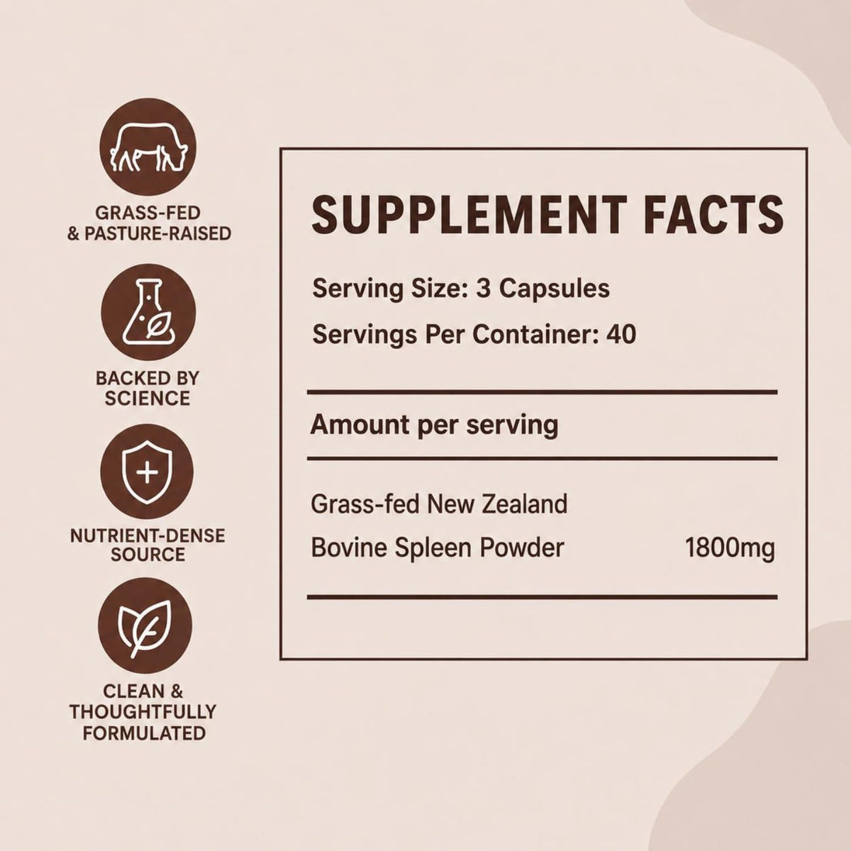 MAYN Grass-Fed Beef Spleen – 120 Capsules – image 5
