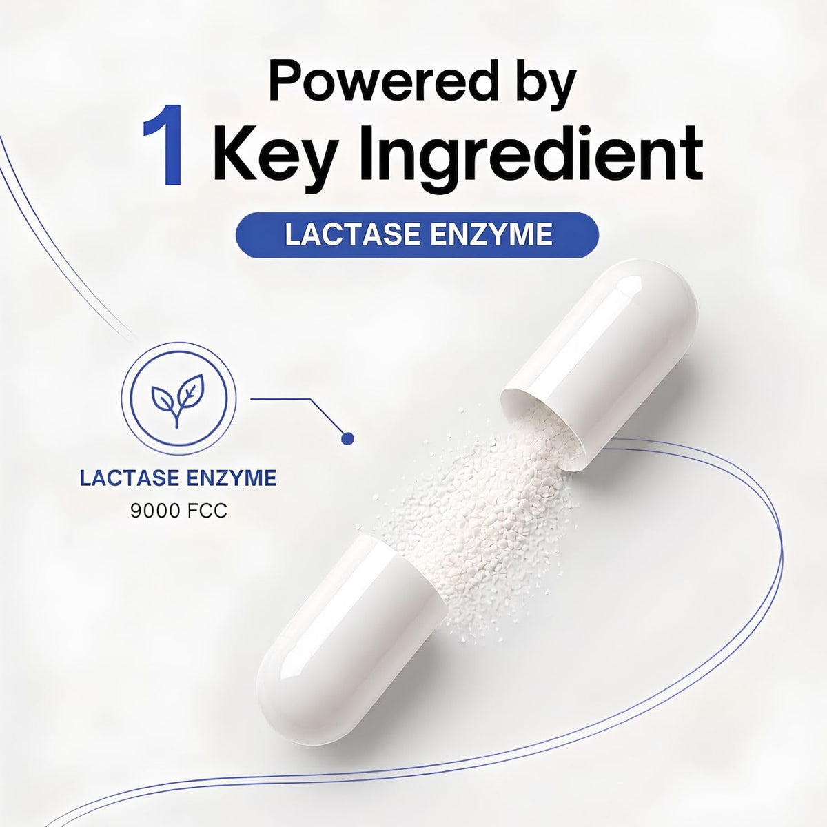 MAYN Lactase Enzyme 9000 FCC – 120 Capsules – image 4