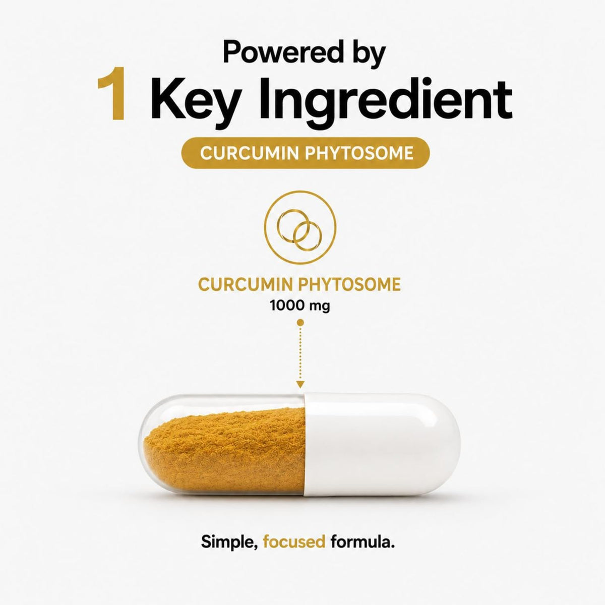 MAYN Curcumin Phytosome 1000mg – 120 Capsules – image 4