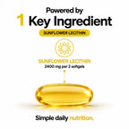 MAYN Sunflower Lecithin 2400mg with Phosphatidylcholine – 90 Softgels – image 4