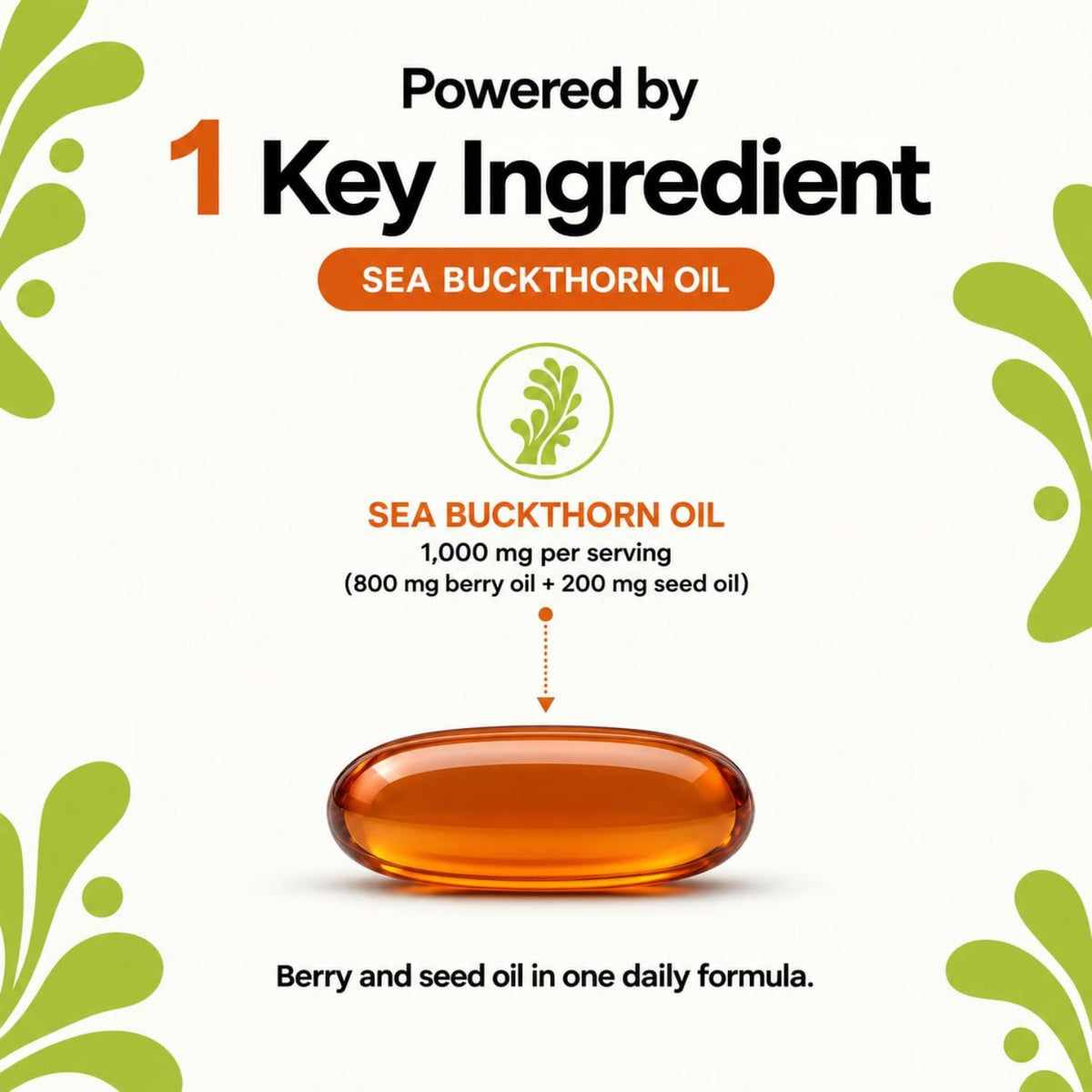 MAYN Sea Buckthorn Oil – 60 Softgels – image 4