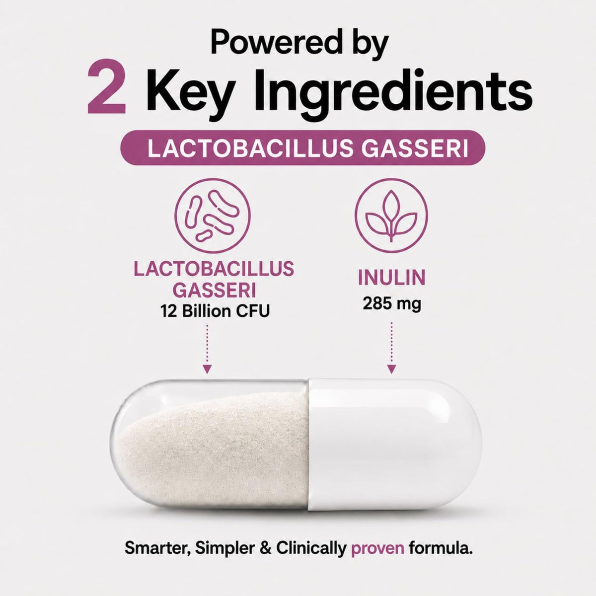 MAYN Lactobacillus Gasseri 12 Billion CFU with Prebiotic Inulin – 60 Capsules – image 4