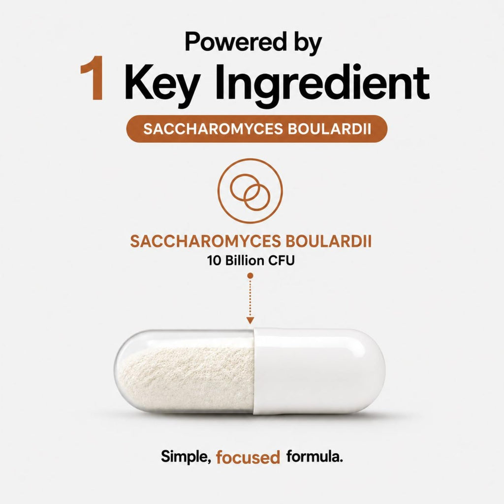MAYN Saccharomyces Boulardii 10 Billion CFU – 60 Capsules – image 4