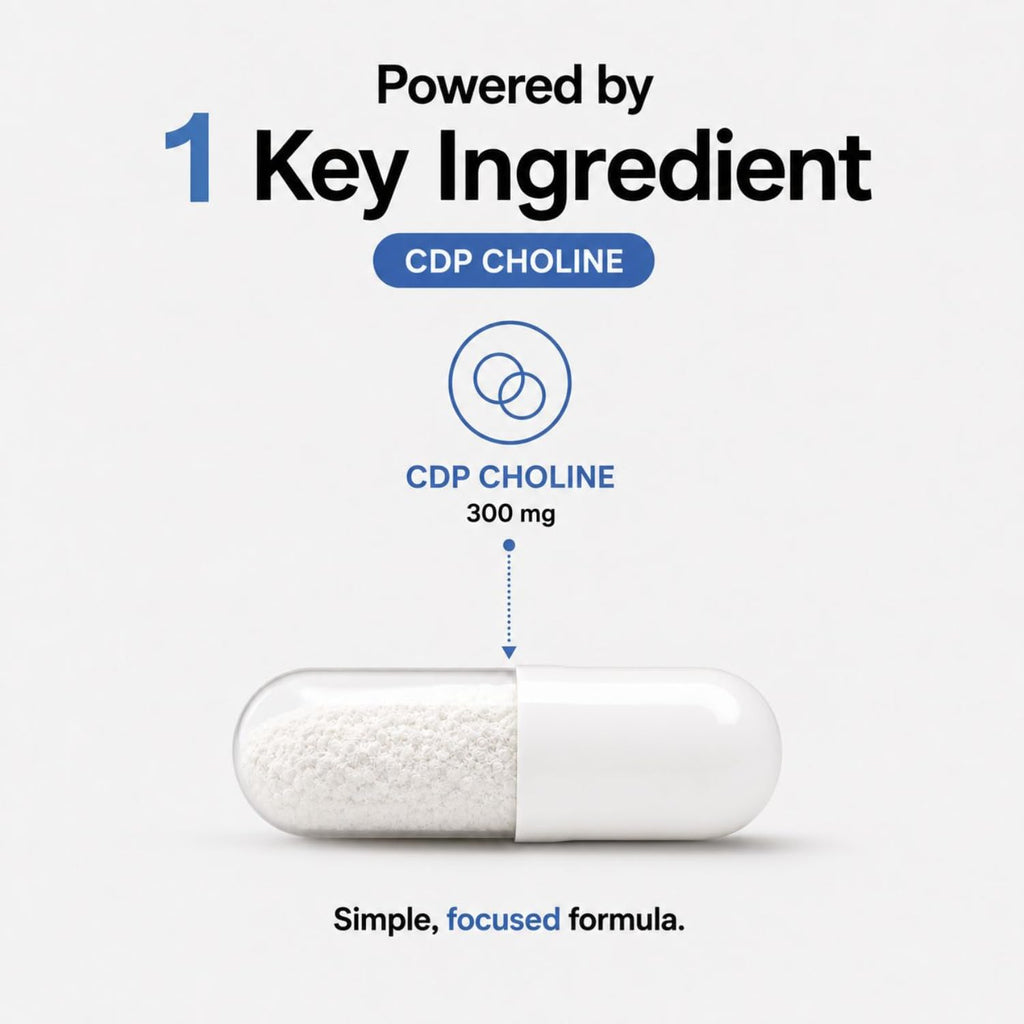 MAYN CDP Choline (Citicoline) 300mg – 90 Capsules – image 4