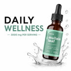 MAYN Mullein Leaf Extract Liquid Drops – 60mL – image 3