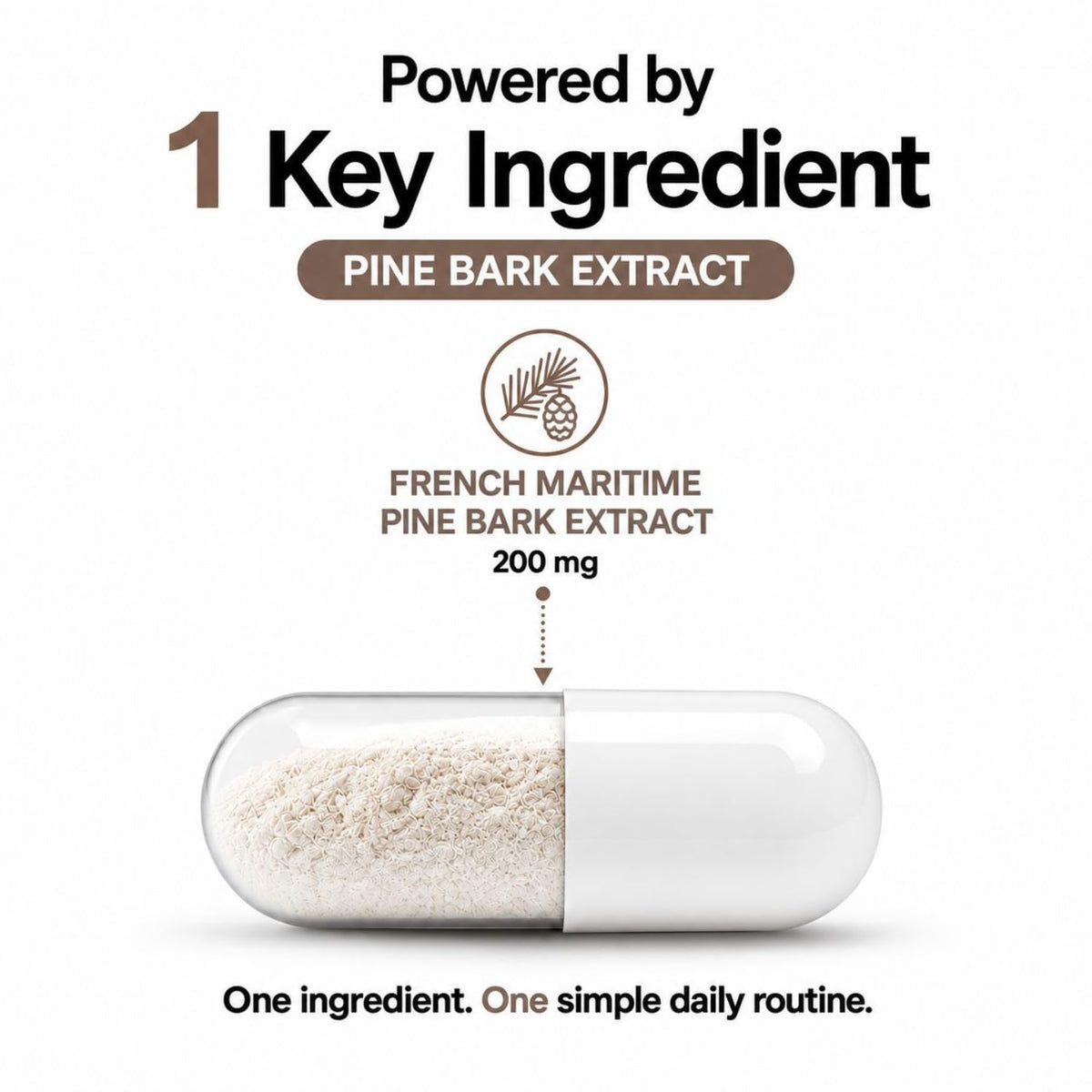 MAYN Pine Bark Extract 200mg – 60 Capsules – image 4