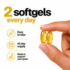 MAYN Sunflower Lecithin 2400mg with Phosphatidylcholine – 90 Softgels – image 5