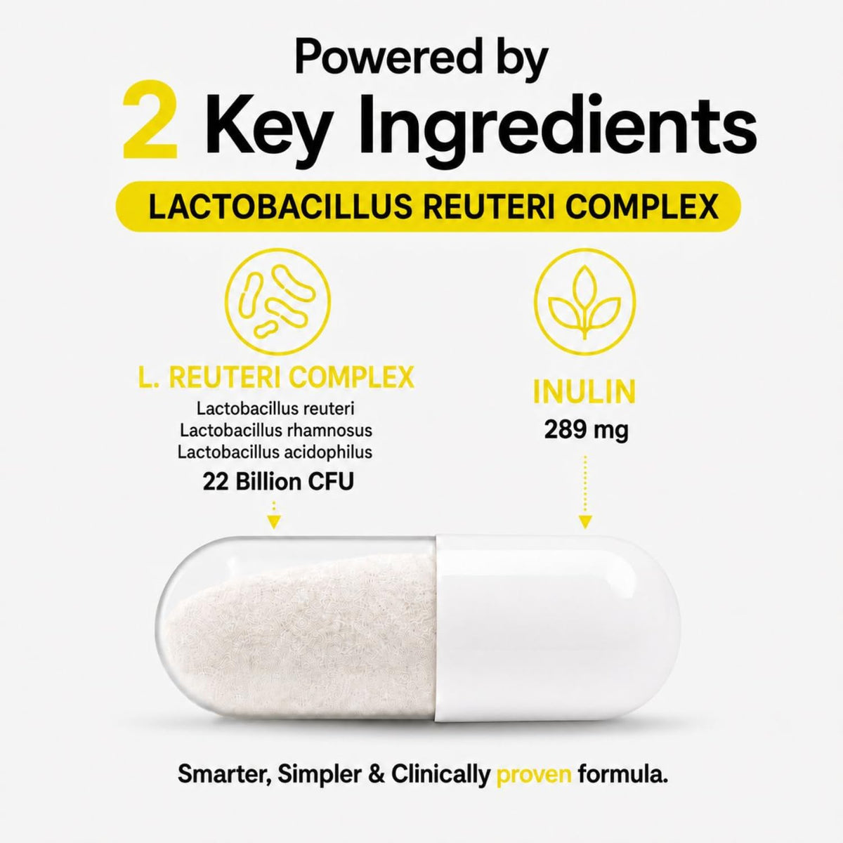 MAYN Lactobacillus Reuteri Complex 22 Billion CFU with Prebiotic Inulin – 60 Capsules – image 4