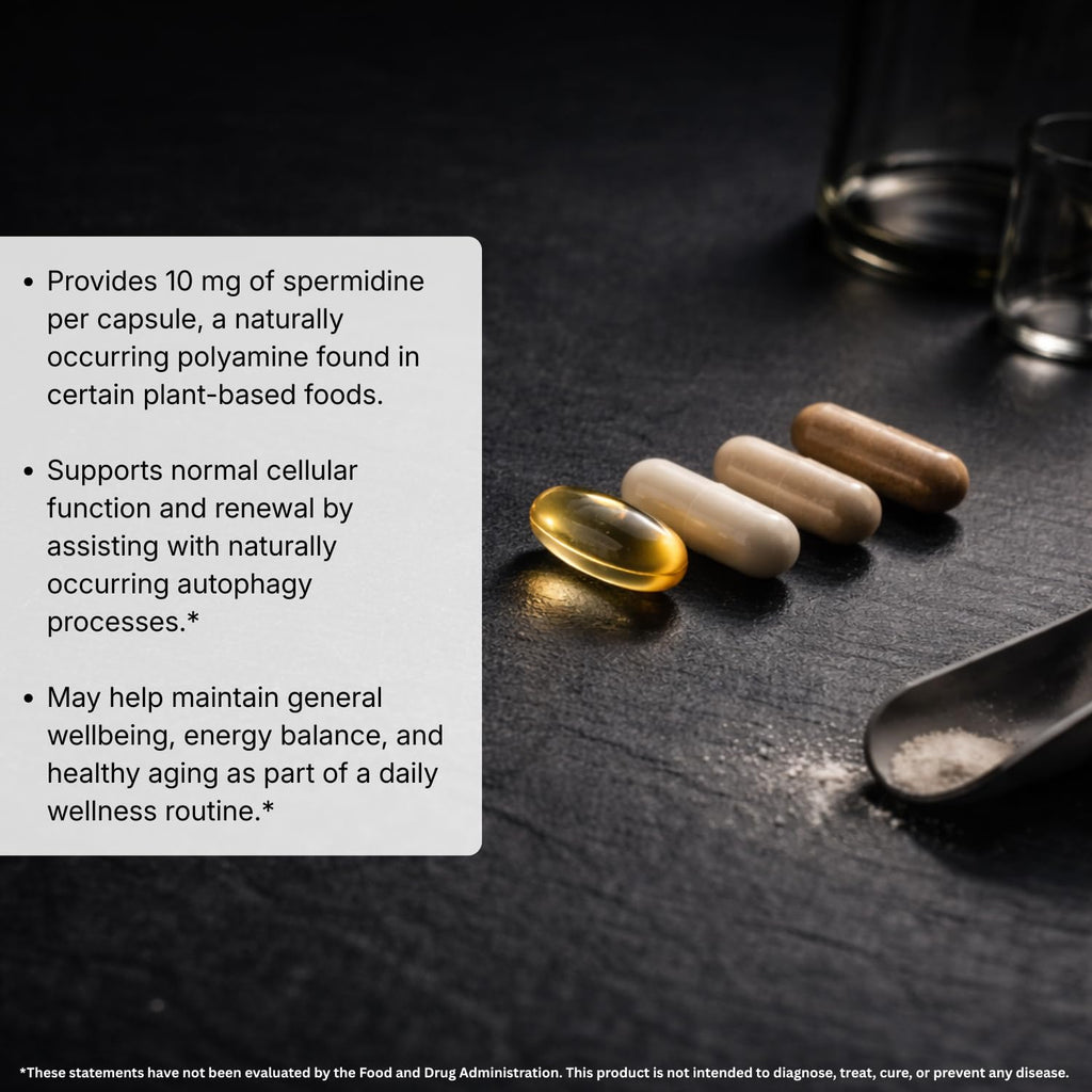 MAYN Spermidine 5mg – 60 Capsules – image 4