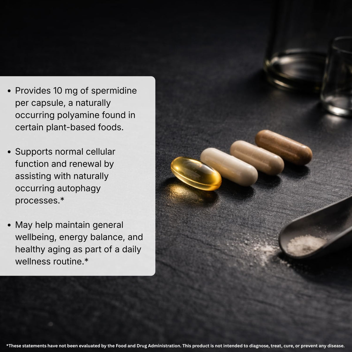MAYN Spermidine 5mg – 60 Capsules – image 4