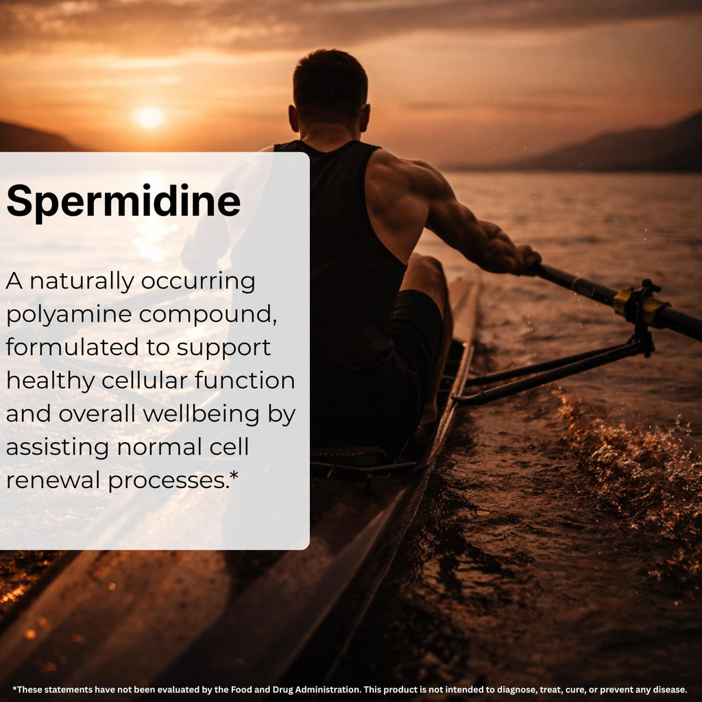 MAYN Spermidine 5mg – 60 Capsules – image 3