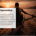 MAYN Spermidine 5mg – 60 Capsules – image 3