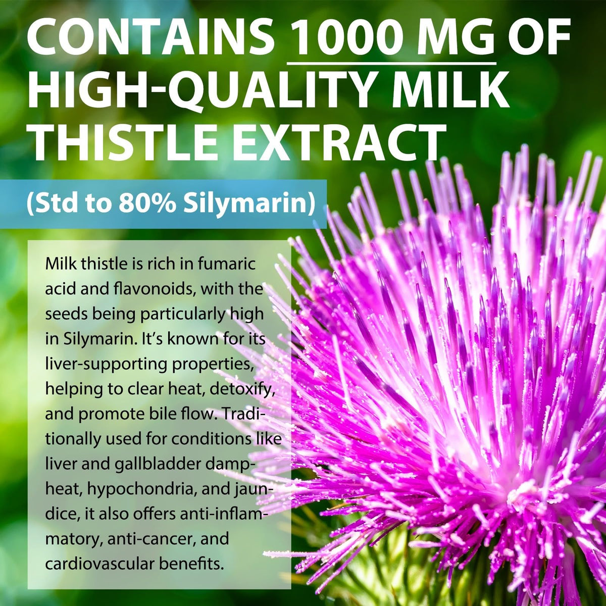 MAYN Milk Thistle 1000mg Liquid Drops – 60mL – image 7